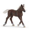 Figúrka žriebätko schwarzwaldské - Schleich - 9,5 cm
