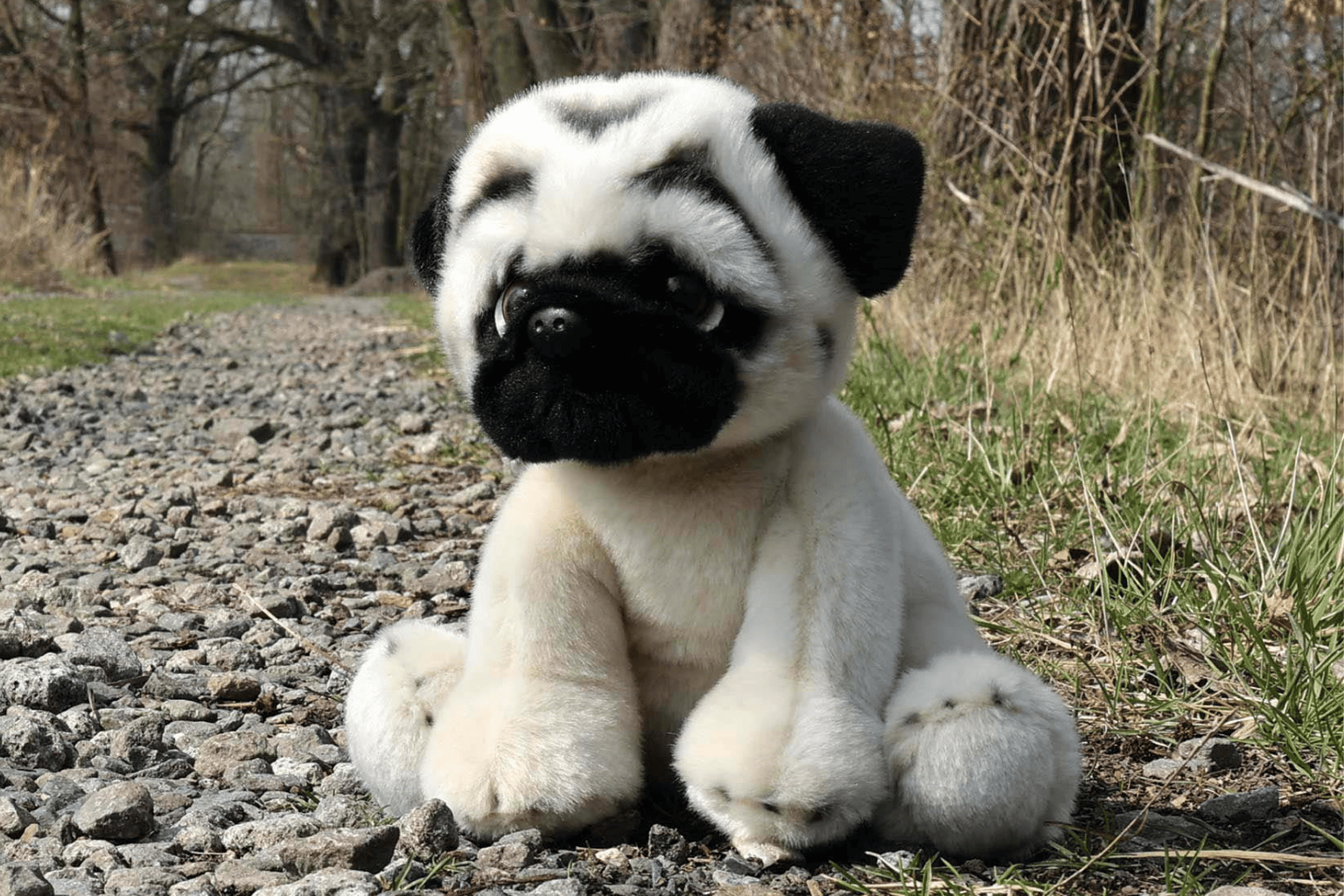 Psí parťáci: Příběhy nejvěrnějších plemen 12. díl: Mops