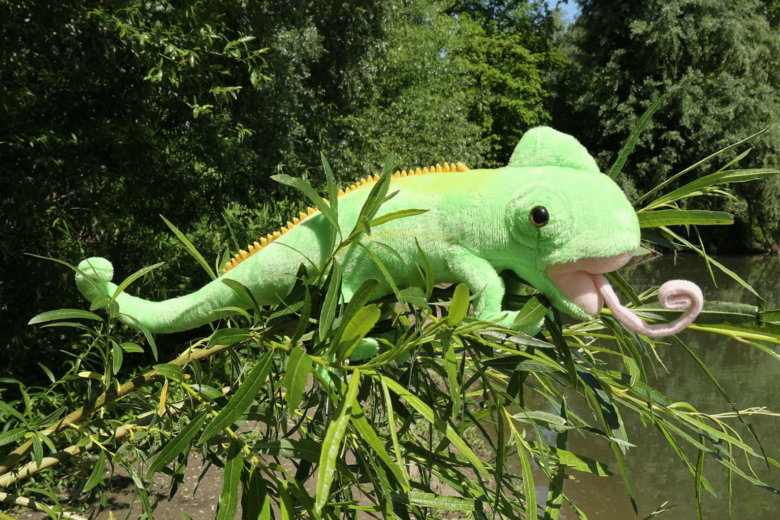 Fascinující zvířecí příběhy 4. díl: Chameleon – barevný mistr emocí