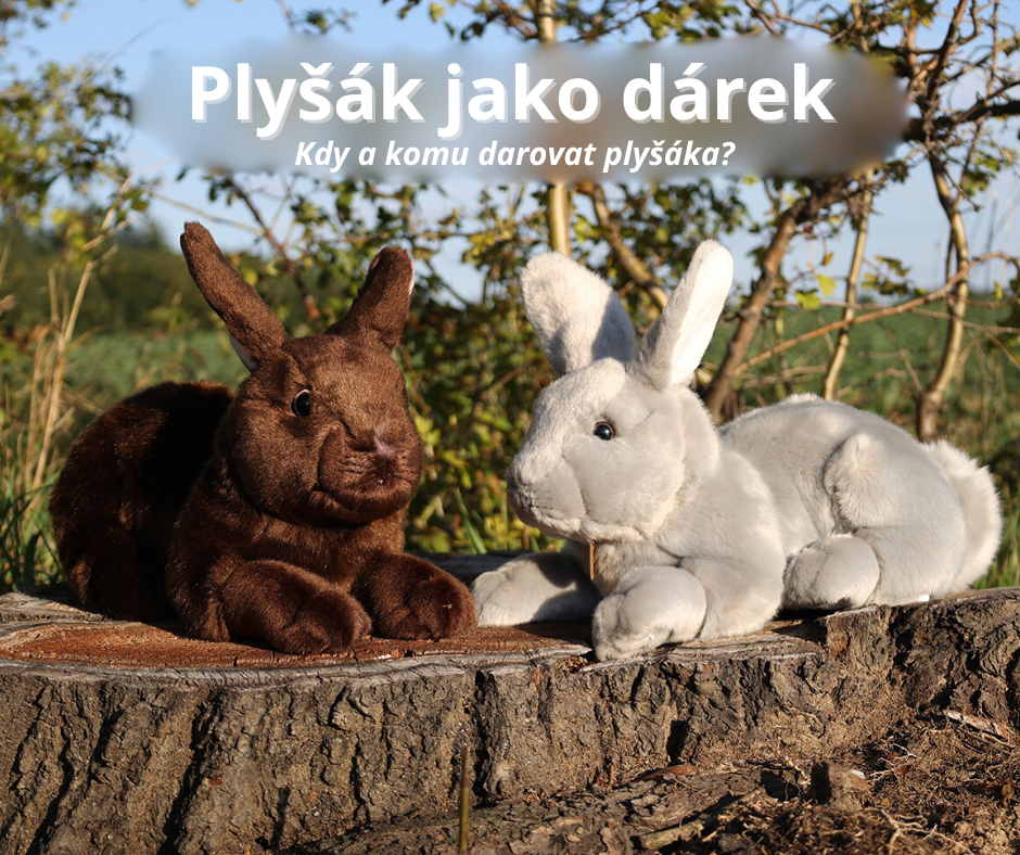 Kdy je plyšák ten správný dárek?