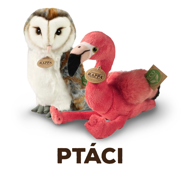 Ptáci