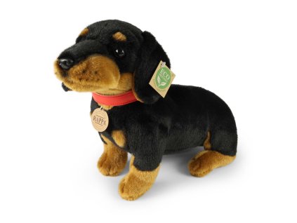 Plyšový pes jezevčík s obojkem 36 cm