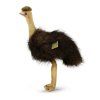 Plyšový emu 36 cm