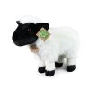 Plyšová ovce 27 cm
