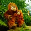 Plyšový orangutan s mládětem 28 cm
