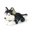 Plyšový husky 36 cm