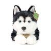 Plyšový husky 36 cm
