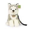 Plyšový husky s vodítkem 28 cm