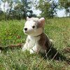 Plyšový husky s vodítkem 28 cm