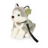 Plyšový husky s vodítkem 28 cm