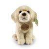 Plyšový labrador 23 cm