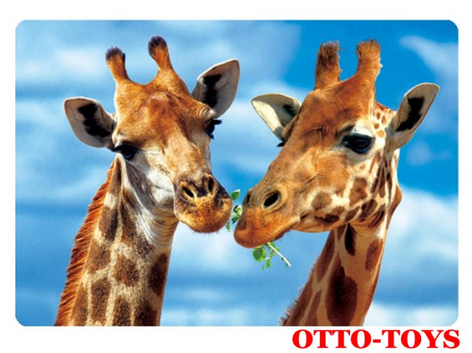 Magnetka ZOO zvířátko žirafa