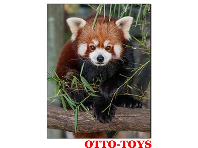 Magnetka ZOO zvířátko panda červená