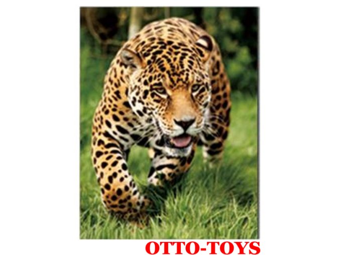 Magnetka ZOO zvířátko leopard