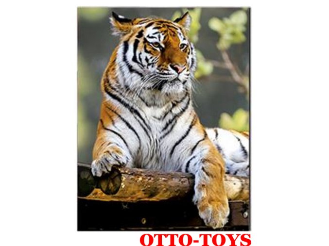 Magnetka ZOO zvířátko tygr