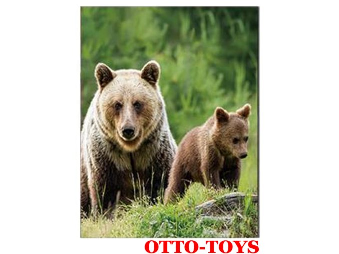 Magnetka ZOO zvířátko medvěd