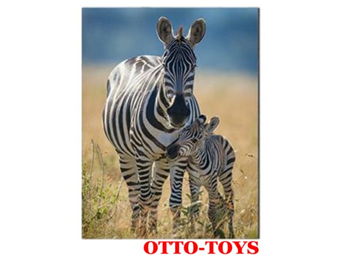 Magnetka ZOO zvířátko zebra