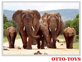 Magnetka ZOO zvířátko slon