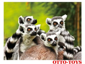 Magnetka ZOO zvířátko lemur