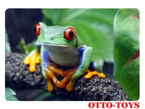 Magnetka ZOO zvířátko žába