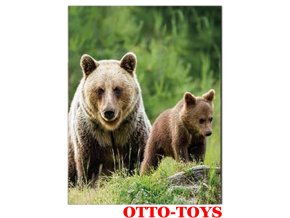 Magnetka ZOO zvířátko medvěd