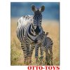 Magnetka ZOO zvířátko zebra