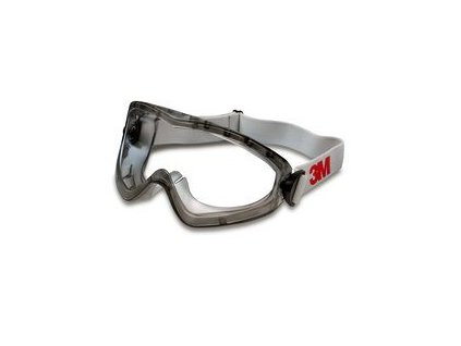 2890 goggles