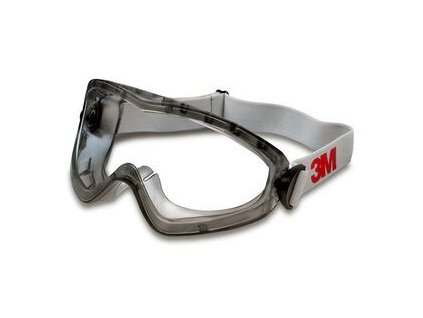 2890 goggles
