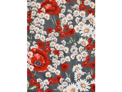 kopretiny a vlčí máky na šedé