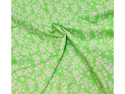 drobné kopretinky na jarní zelene