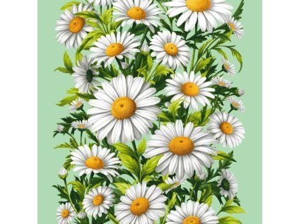 kopretiny na sv.zelené