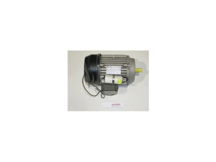 motor psp 100 a 300 220v
