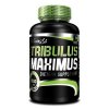 Tribulus Maximus