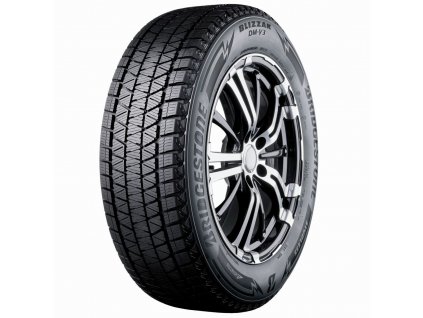 225/55 R 18 DM-V3 98T