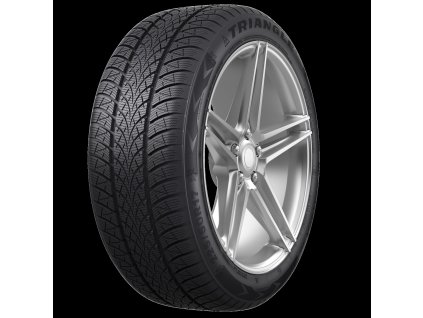 195/65 R 15 WinterX TW401 95T XL