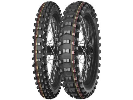 70/100 - 10 TERRA FORCE-MX SM R 41M TT