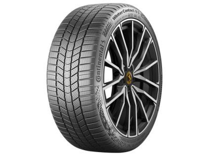 WINTERCONTACT 8S