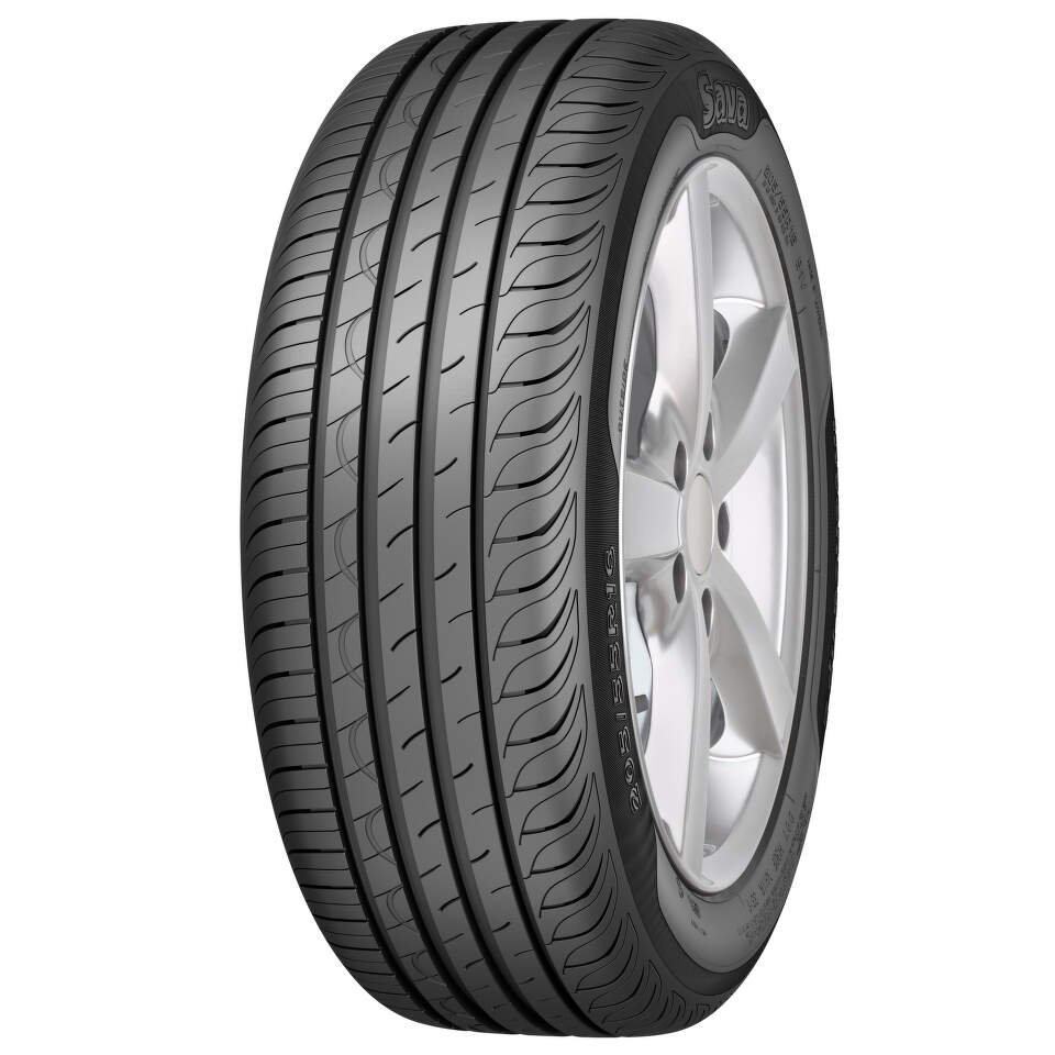 205/55R16 91V, Sava, INTENSA HP2
