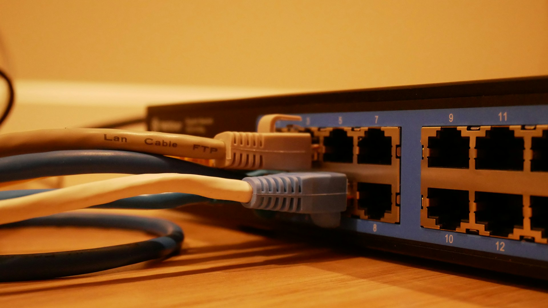 Ethernetové káble zapojené do portov sieťového prepínača.