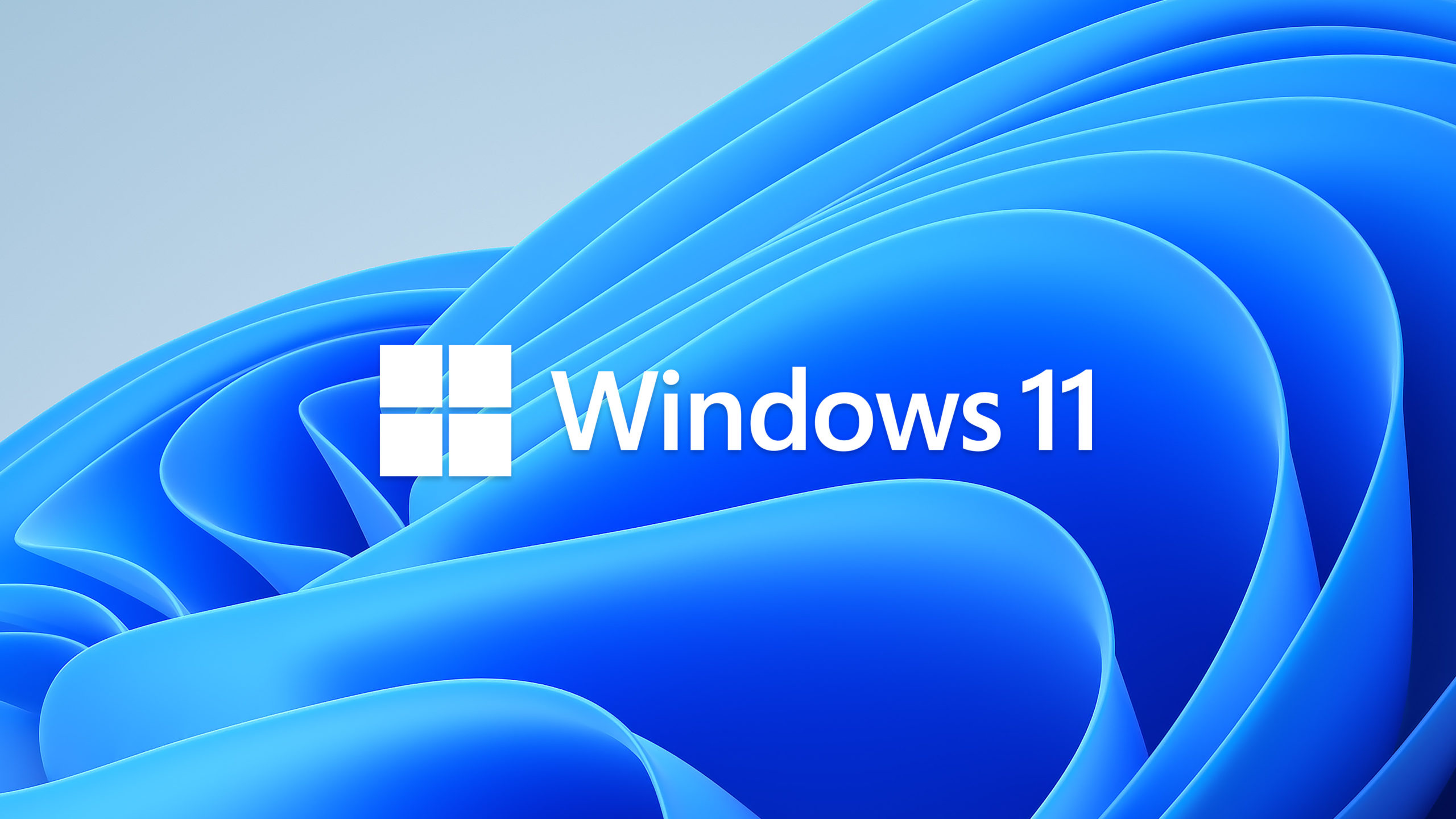 Windows-11-logo-ilustrace-1600-scaled