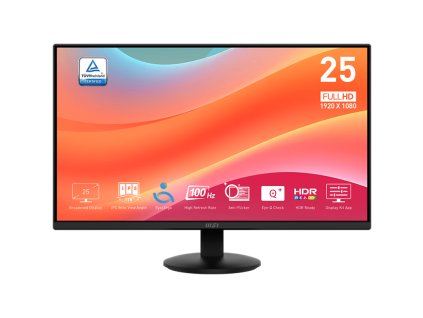 MSI PRO MP252L 24.5"