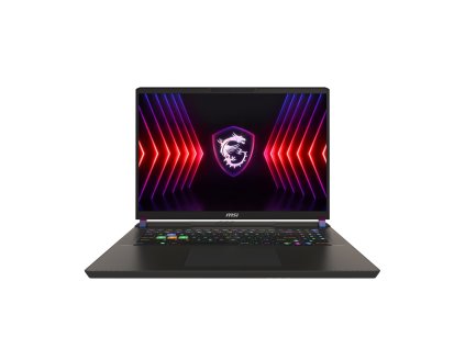 MSI Vector 17 HX A14VI (1)