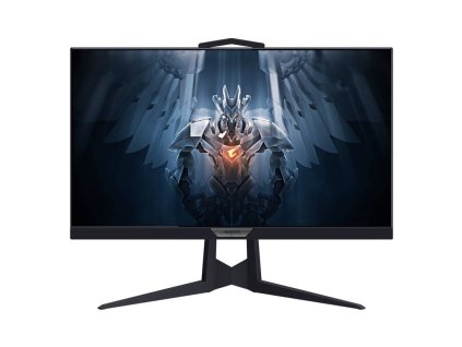 Gigabyte AORUS FI25F 24,5"