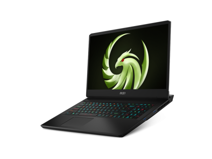 MSI Alpha 17 C7VG (1)