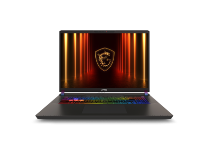 MSI Vector 17 HX AI A2XWJG-004UK