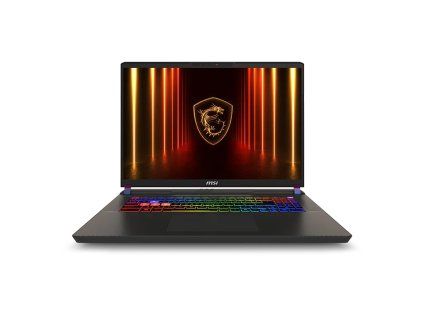MSI Vector 17 HX AI A2XWJG-004UK