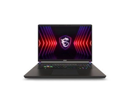 MSI Vector 17 HX A13VHG-604FR
