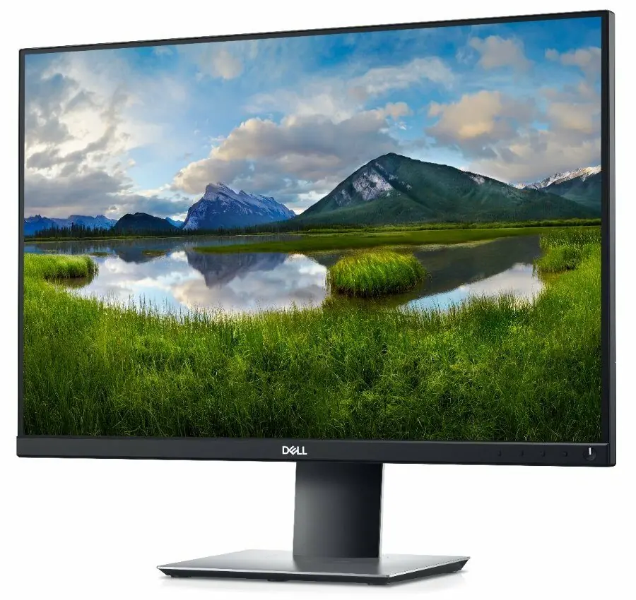 Dell P2421 24
