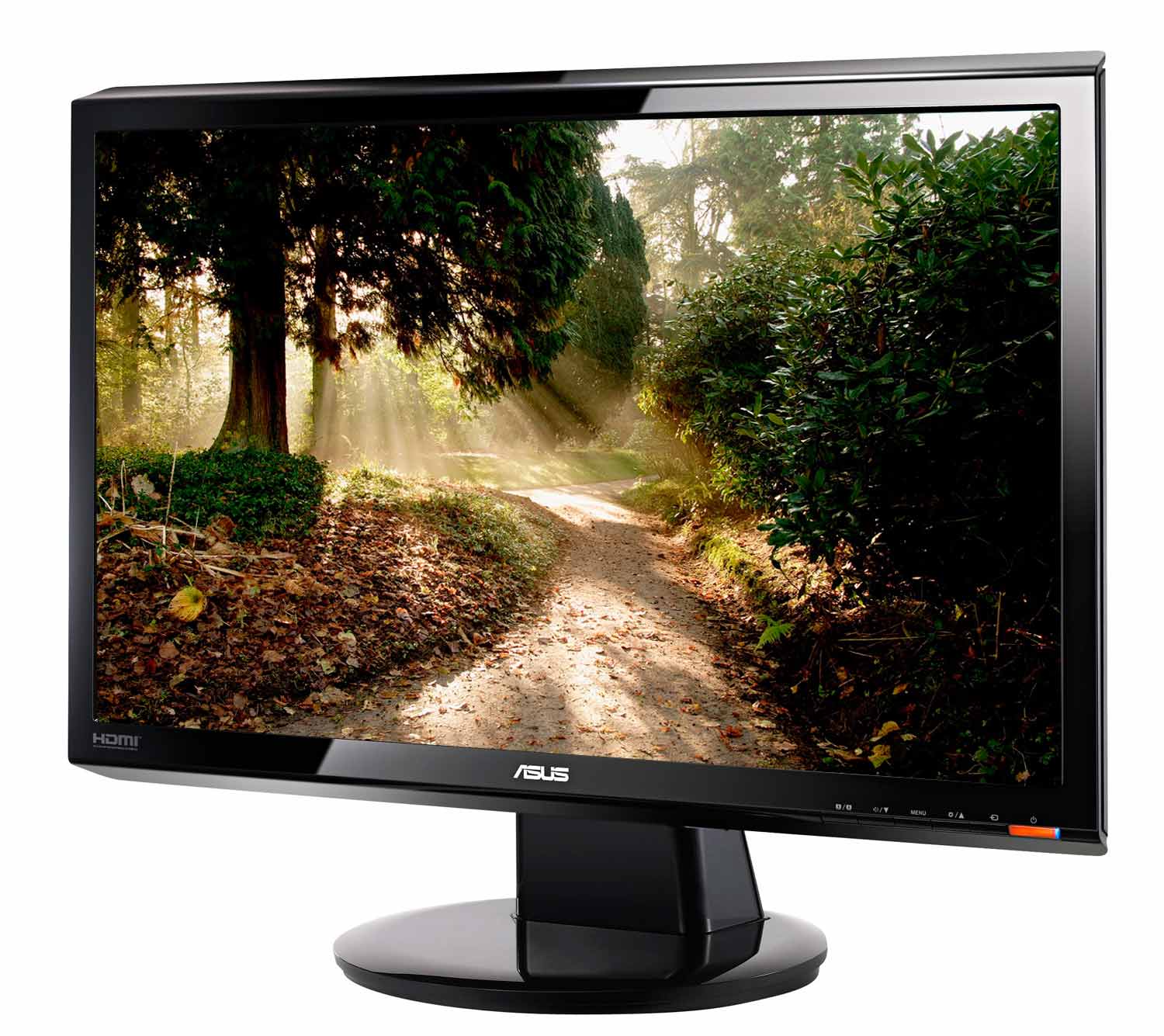Asus VH198D