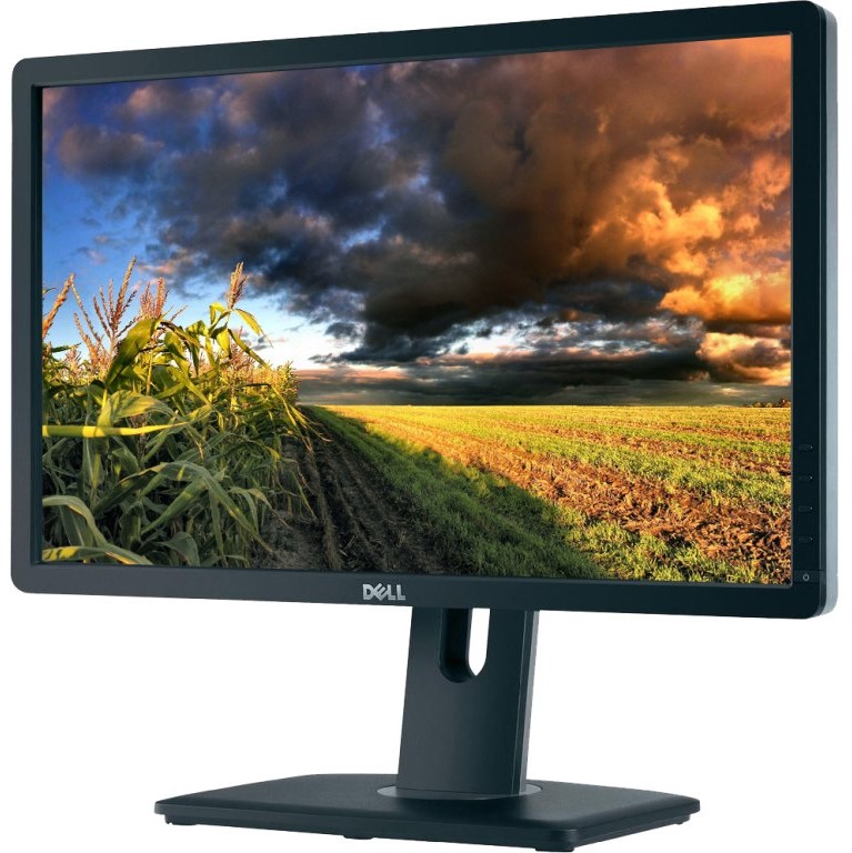 DELL U2413f